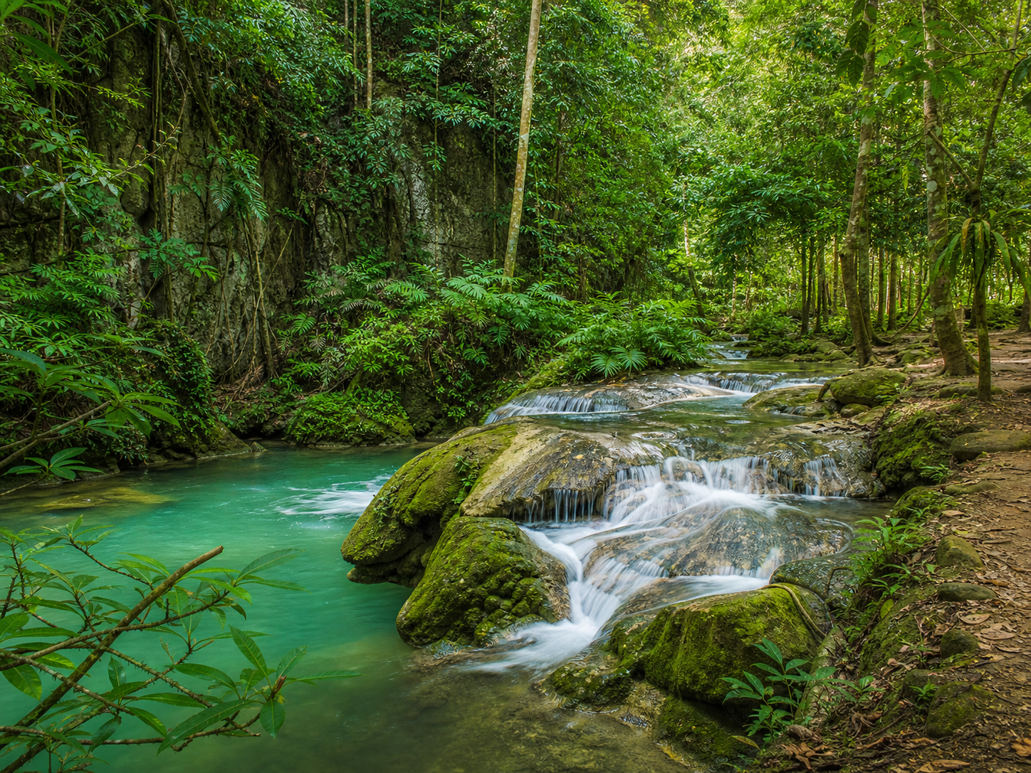 Rainforest and waterfall in Thailand
